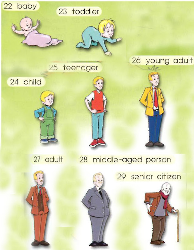 Family Tree Online Dictionary for Kids